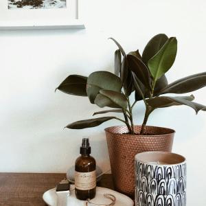 Phụ Kiện Chăm Sóc